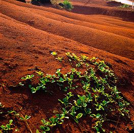 TOKYO GAME SHOW 2023 SQUARE ENIX ASIA  特别节目正式发布